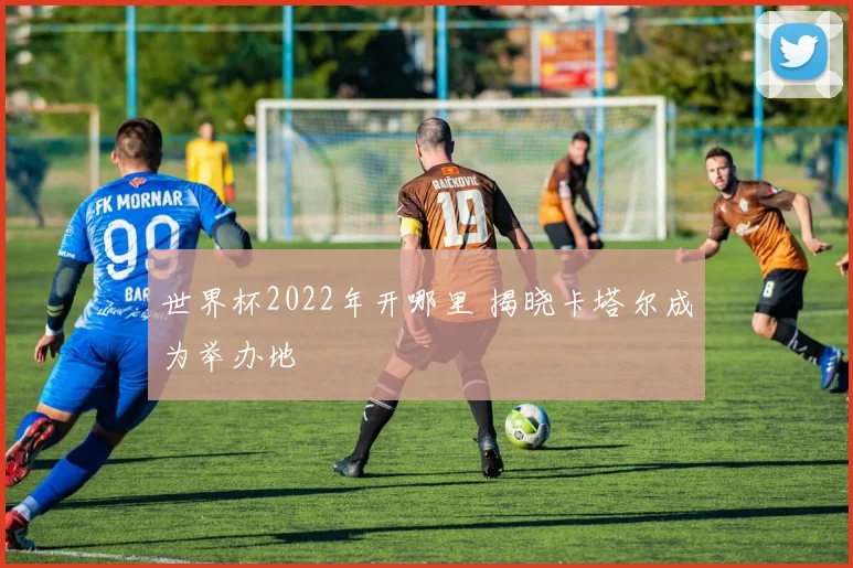 世界杯2022年开哪里 揭晓卡塔尔成为举办地
