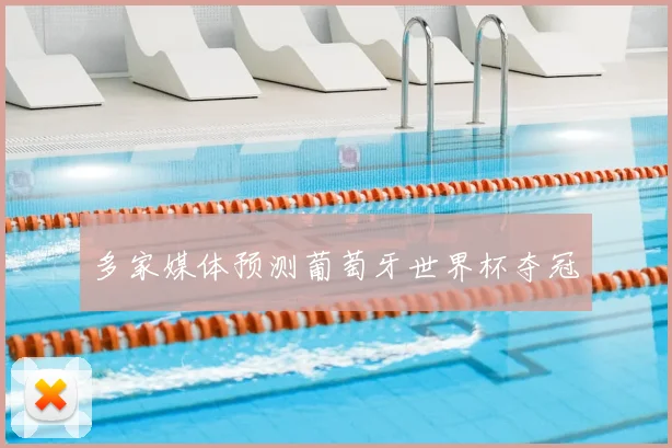 多家媒体预测葡萄牙世界杯夺冠
